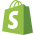 Shopify Skill Icon